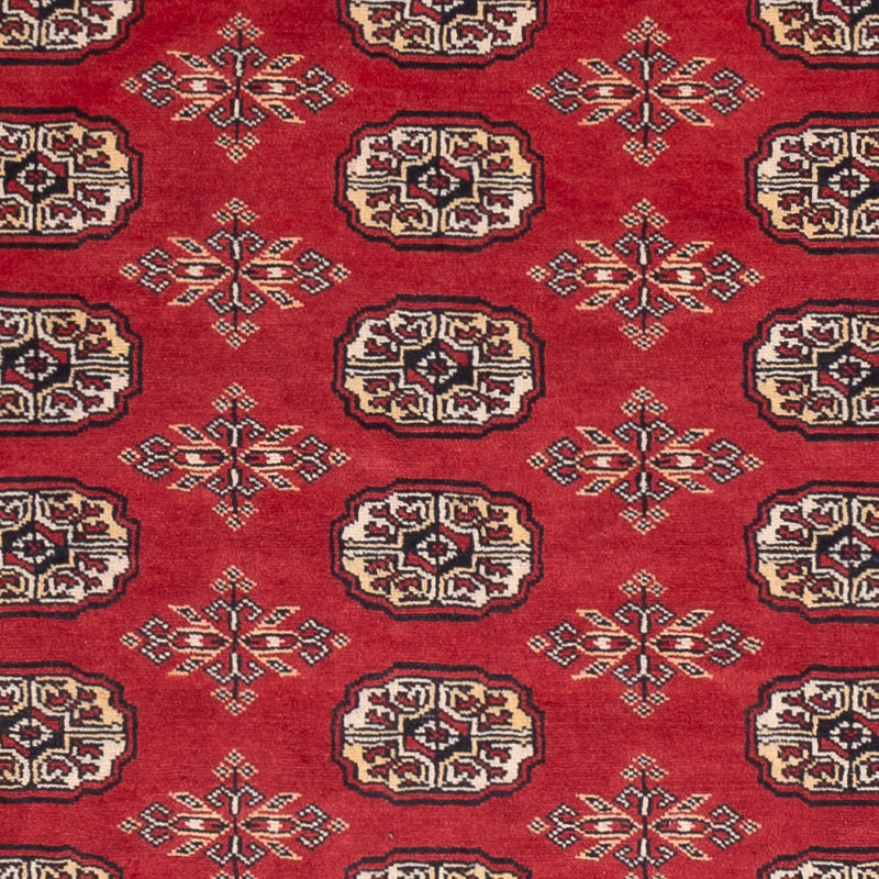 Pakistan teppe 158x237cm - Orientalsk teppe
