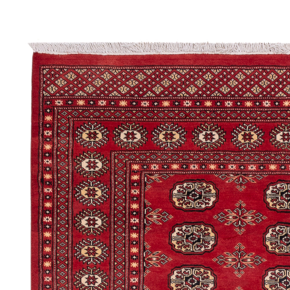 Pakistan teppe 158x237cm - Orientalsk teppe