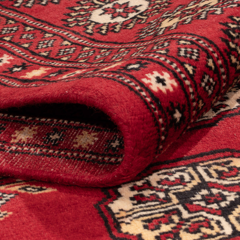 Pakistan teppe 158x237cm - Orientalsk teppe