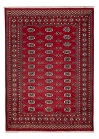 Pakistan teppe 240x171cm - Orientalsk teppe – product image