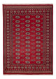 Pakistan teppe 240x171cm - Orientalsk teppe