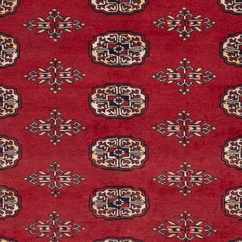 Pakistan teppe 240x171cm - Orientalsk teppe
