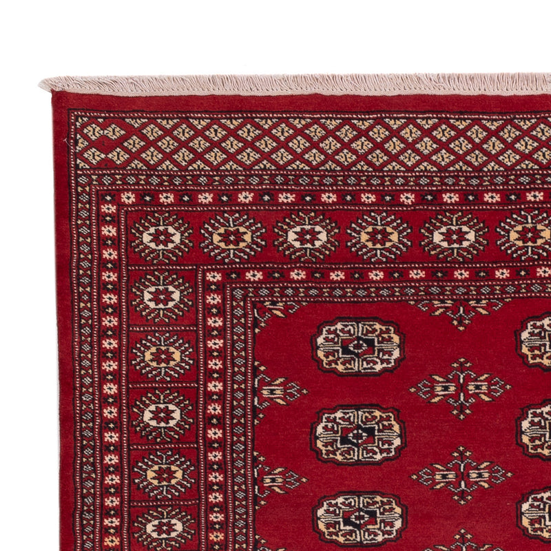 Pakistan teppe 240x171cm - Orientalsk teppe
