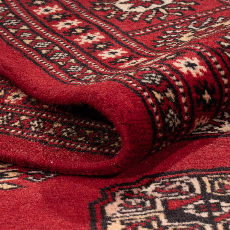 Pakistan teppe 240x171cm - Orientalsk teppe