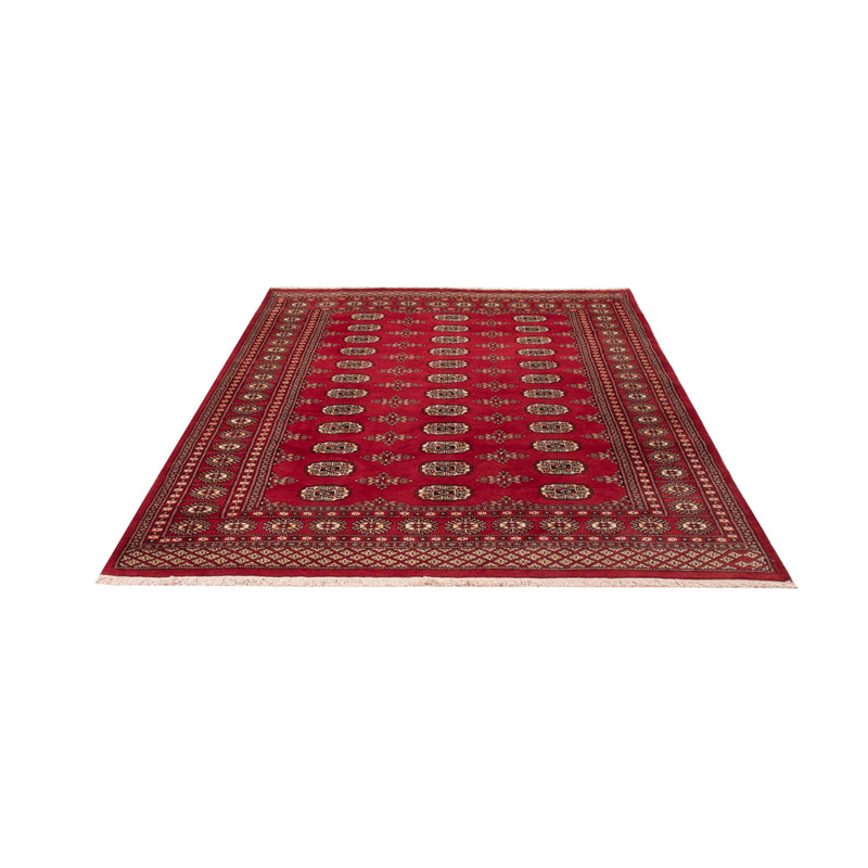 Pakistan teppe 240x171cm - Orientalsk teppe