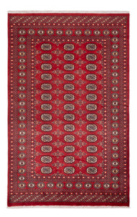 Pakistan teppe 250x159cm - Orientalsk teppe – product image