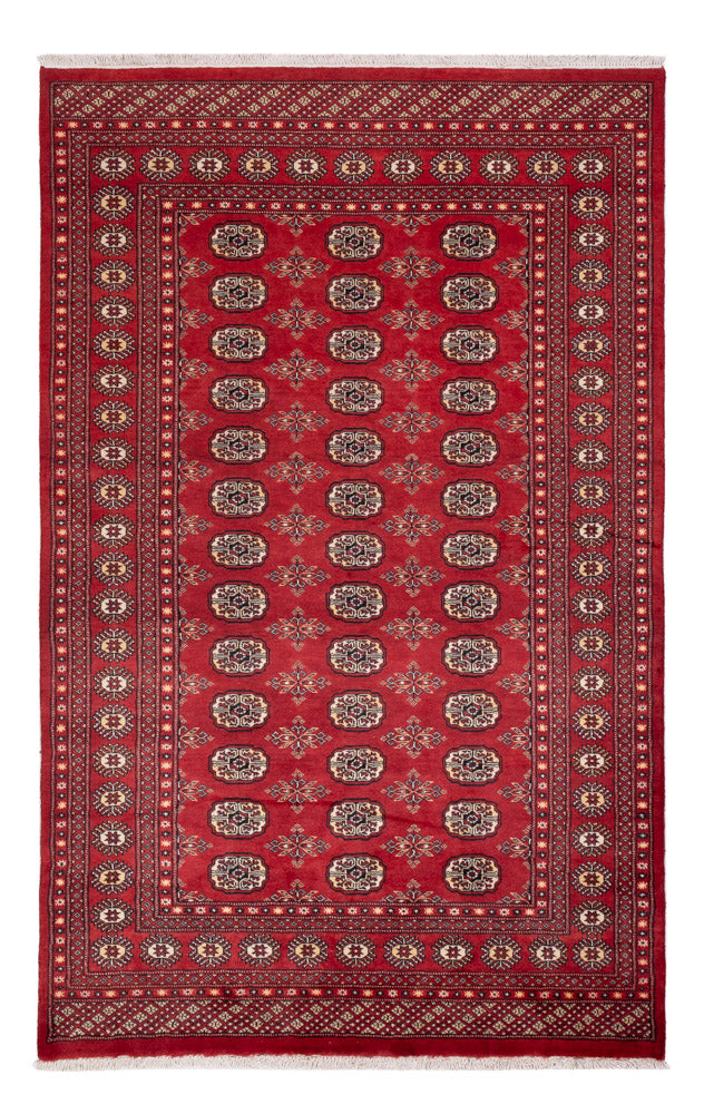 Pakistan teppe 250x159cm - Orientalsk teppe