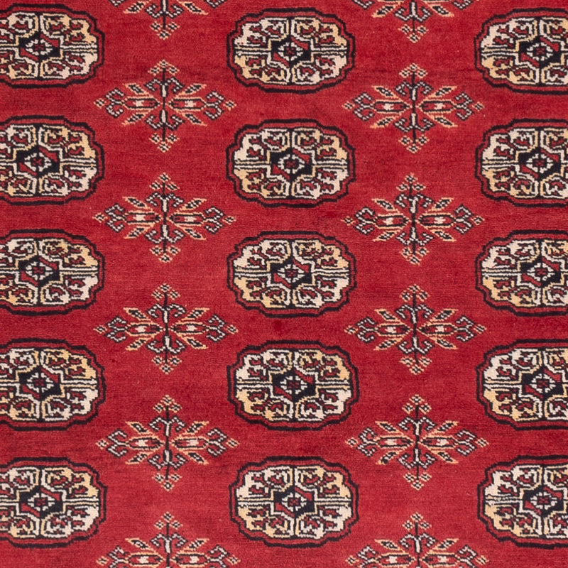 Pakistan teppe 250x159cm - Orientalsk teppe