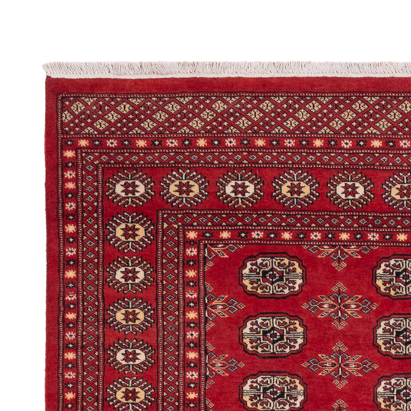 Pakistan teppe 250x159cm - Orientalsk teppe