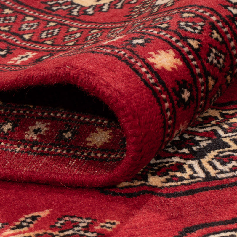 Pakistan teppe 250x159cm - Orientalsk teppe
