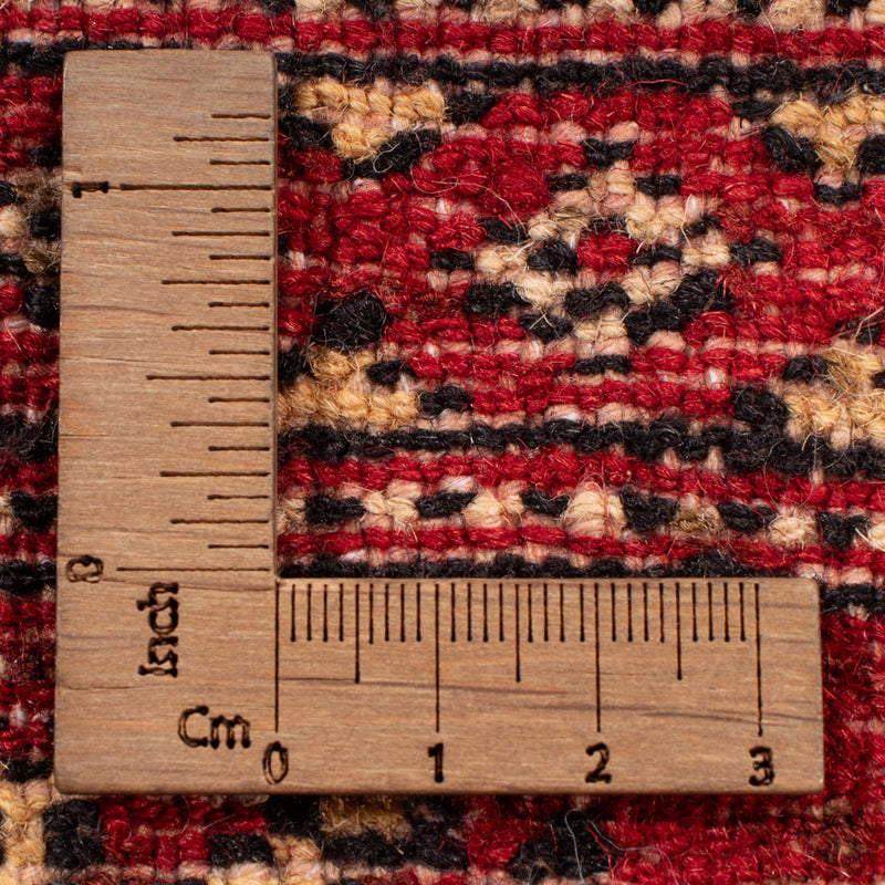 Pakistan teppe 250x159cm - Orientalsk teppe