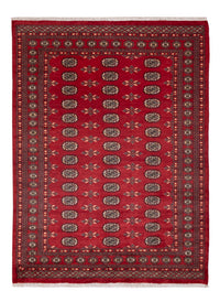 Pakistan teppe 231x172cm - Orientalsk teppe – product image