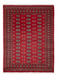 Pakistan teppe 231x172cm - Orientalsk teppe