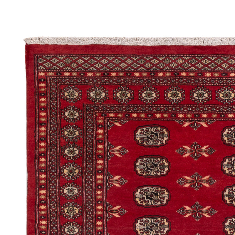 Pakistan teppe 231x172cm - Orientalsk teppe