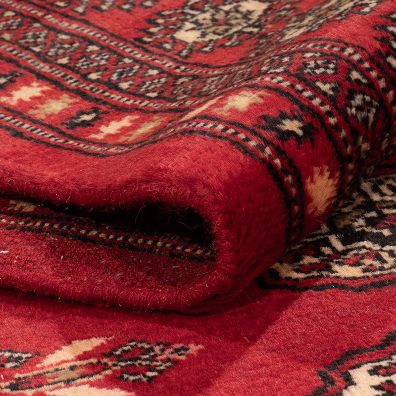 Pakistan teppe 231x172cm - Orientalsk teppe