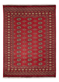 Pakistan teppe 241x173cm - Orientalsk teppe – product image