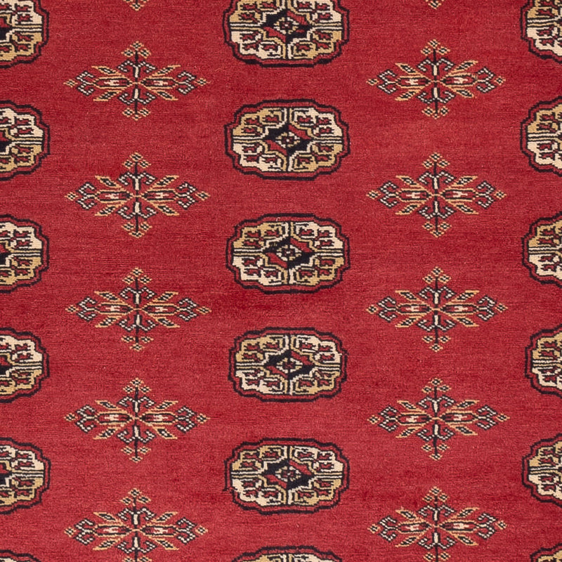 Pakistan teppe 241x173cm - Orientalsk teppe