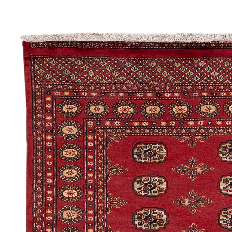 Pakistan teppe 241x173cm - Orientalsk teppe
