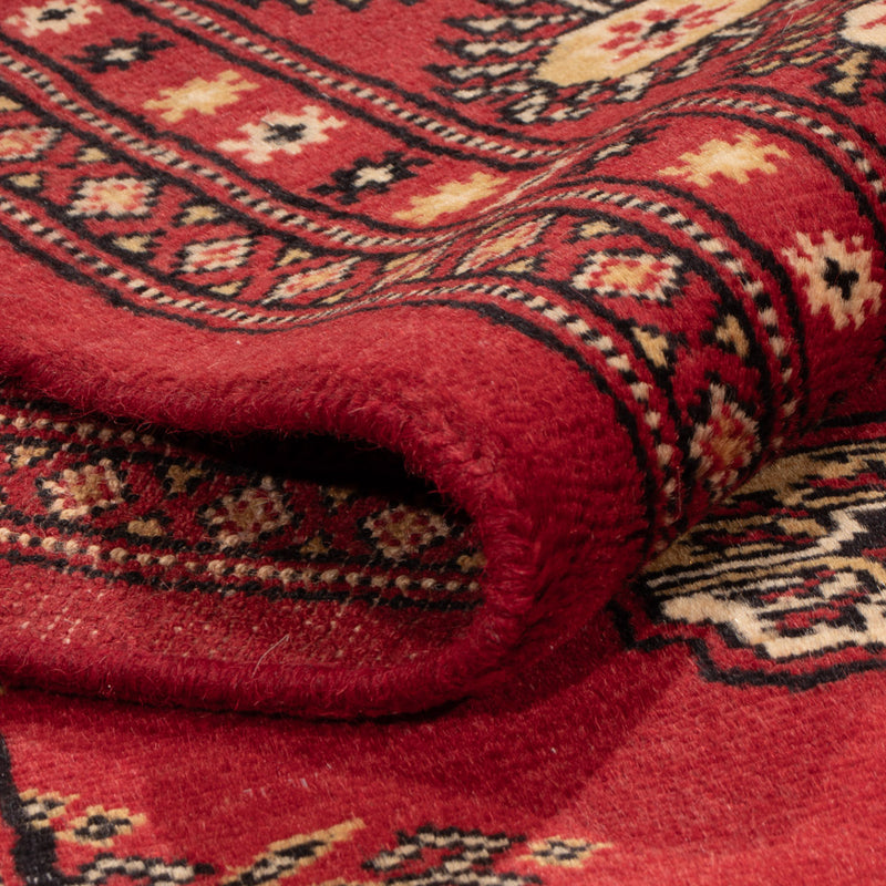 Pakistan teppe 241x173cm - Orientalsk teppe
