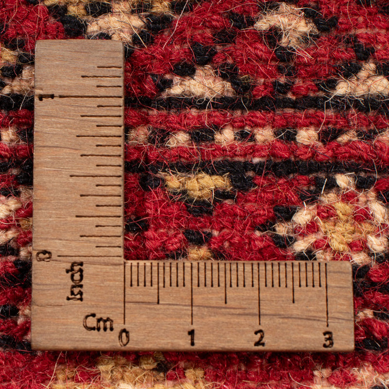 Pakistan teppe 241x173cm - Orientalsk teppe