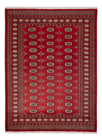 Pakistan teppe 233x174cm - Orientalsk teppe – product image