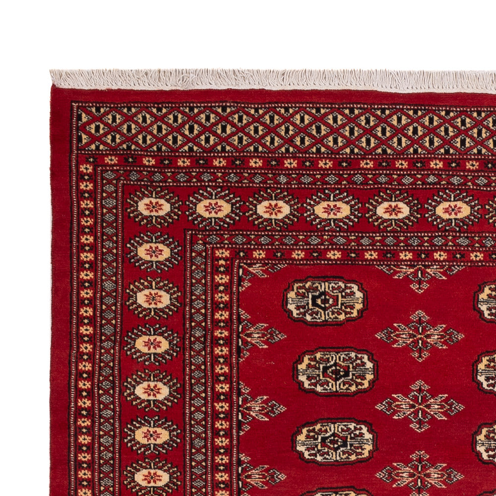 Pakistan teppe 233x174cm - Orientalsk teppe