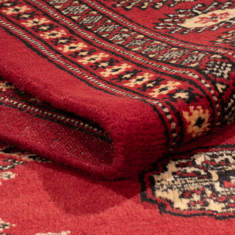 Pakistan teppe 233x174cm - Orientalsk teppe