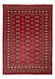 Pakistan teppe 245x170cm - Orientalsk teppe