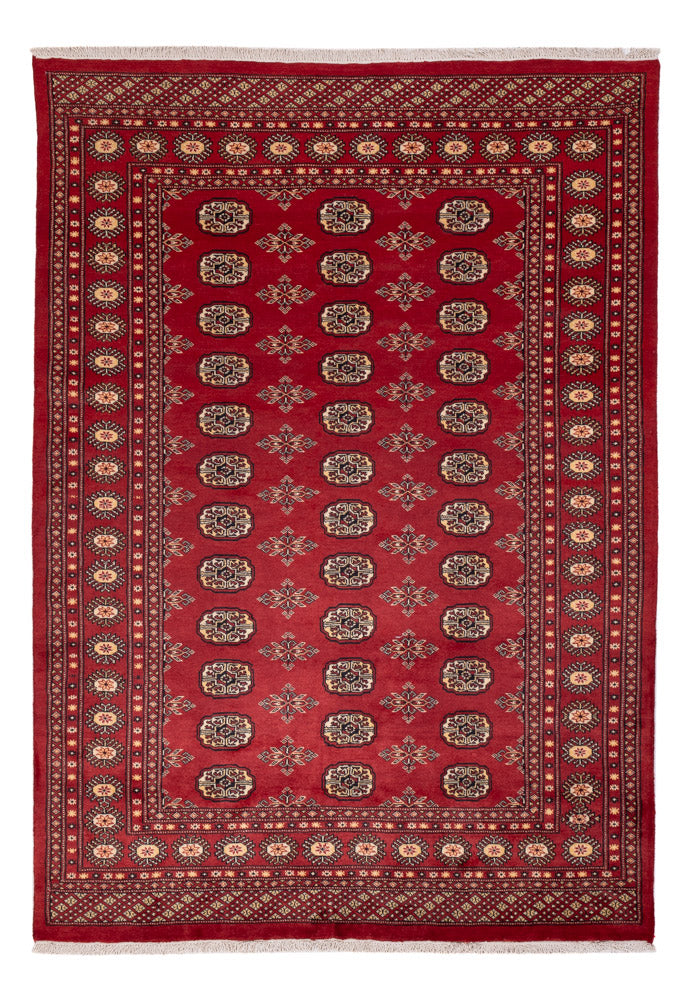 Pakistan teppe 245x170cm - Orientalsk teppe