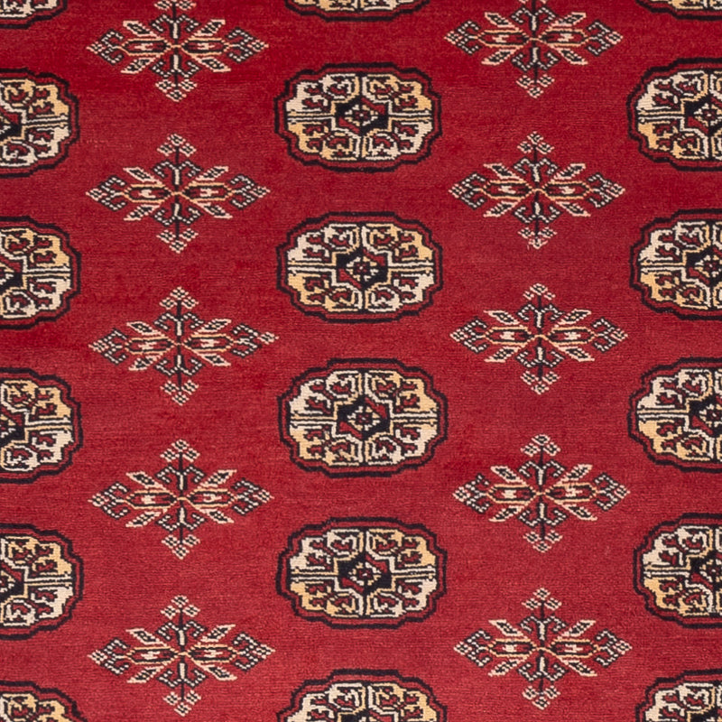Pakistan teppe 245x170cm - Orientalsk teppe