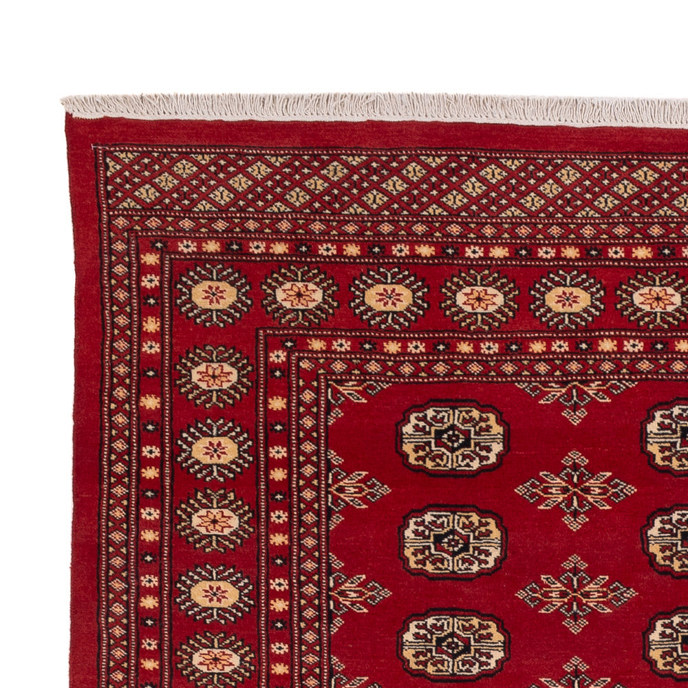 Pakistan teppe 245x170cm - Orientalsk teppe