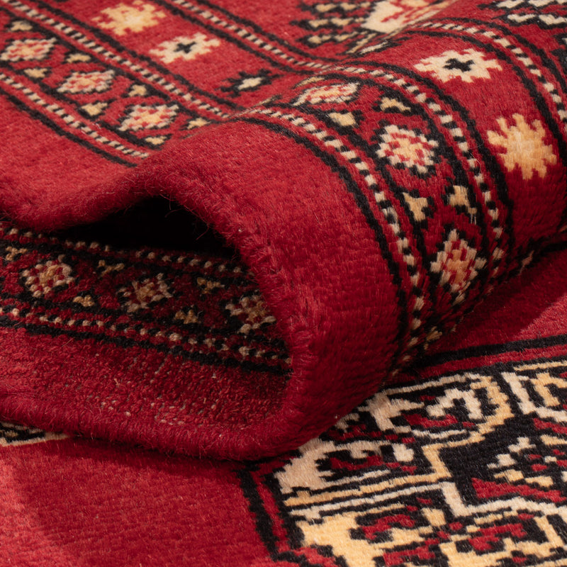 Pakistan teppe 245x170cm - Orientalsk teppe