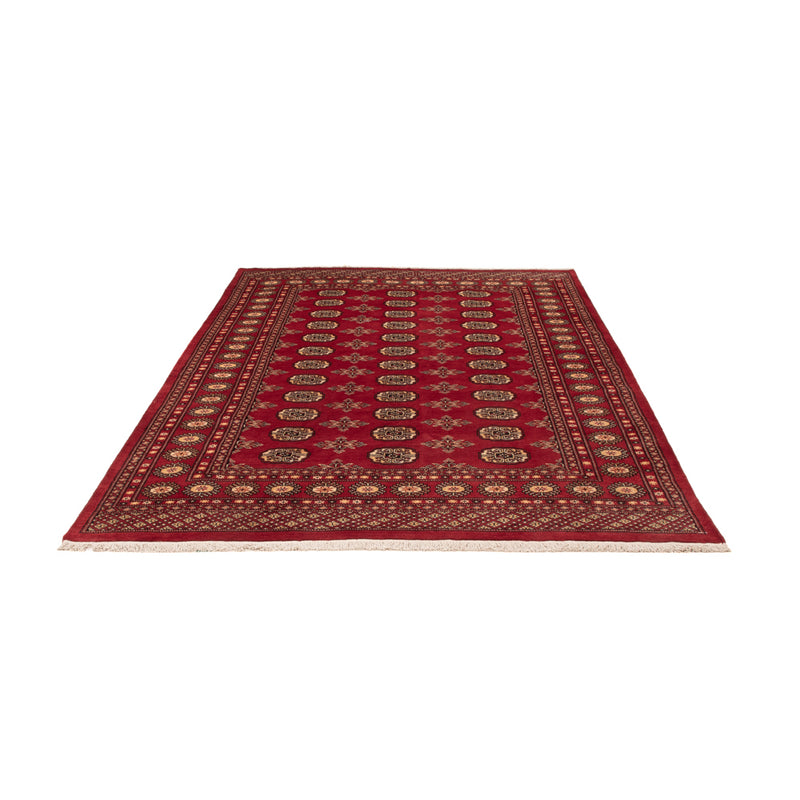 Pakistan teppe 245x170cm - Orientalsk teppe