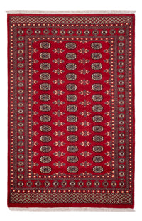Pakistan teppe 258x179cm - Orientalsk teppe – product image