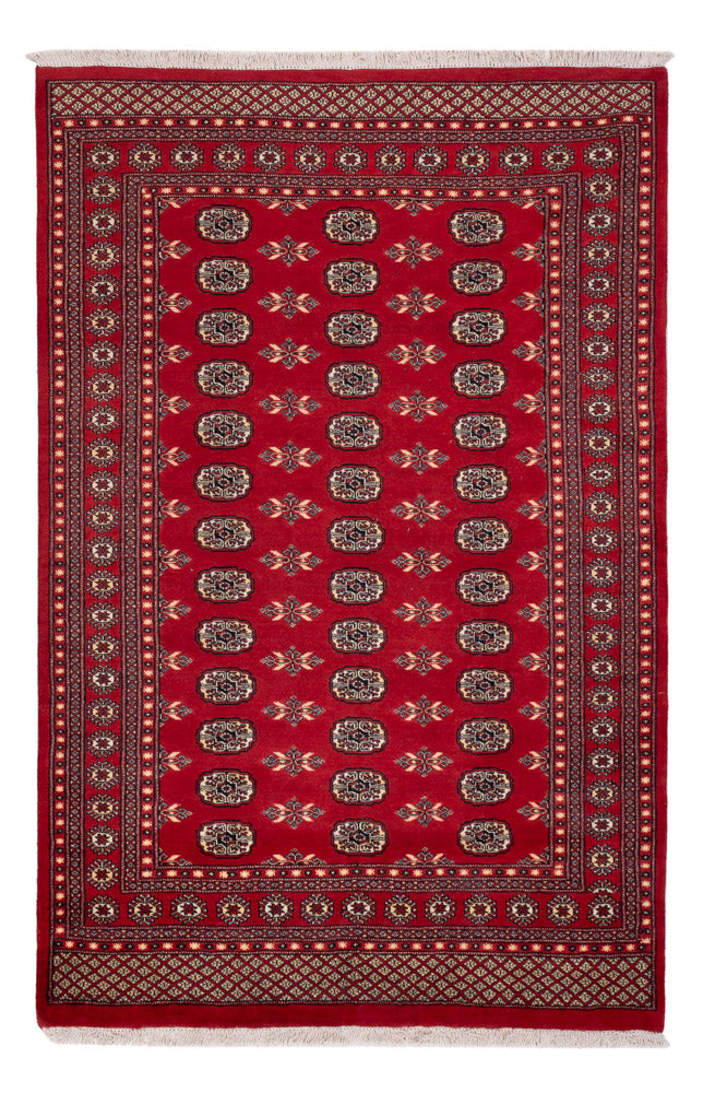 Pakistan teppe 258x179cm - Orientalsk teppe