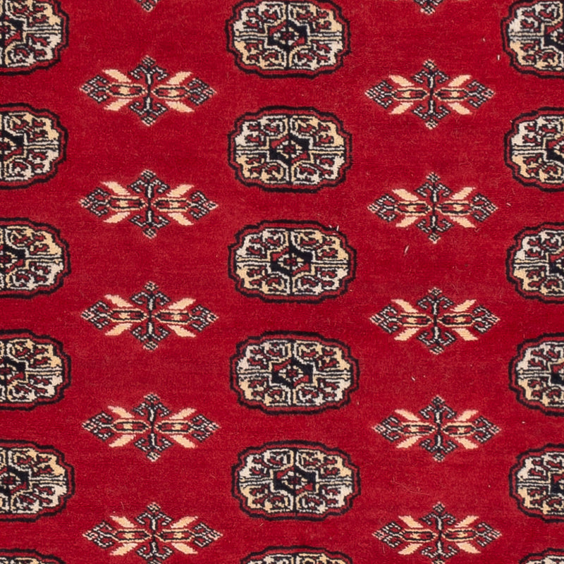 Pakistan teppe 258x179cm - Orientalsk teppe