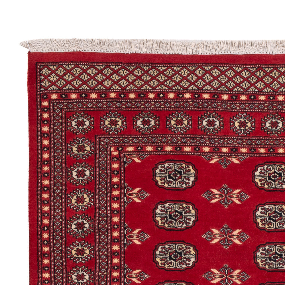 Pakistan teppe 258x179cm - Orientalsk teppe