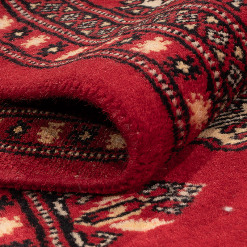 Pakistan teppe 258x179cm - Orientalsk teppe
