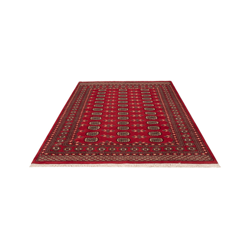 Pakistan teppe 258x179cm - Orientalsk teppe