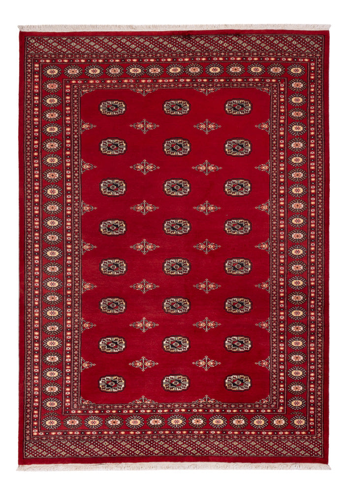 Pakistan teppe 171x236cm - Orientalsk teppe