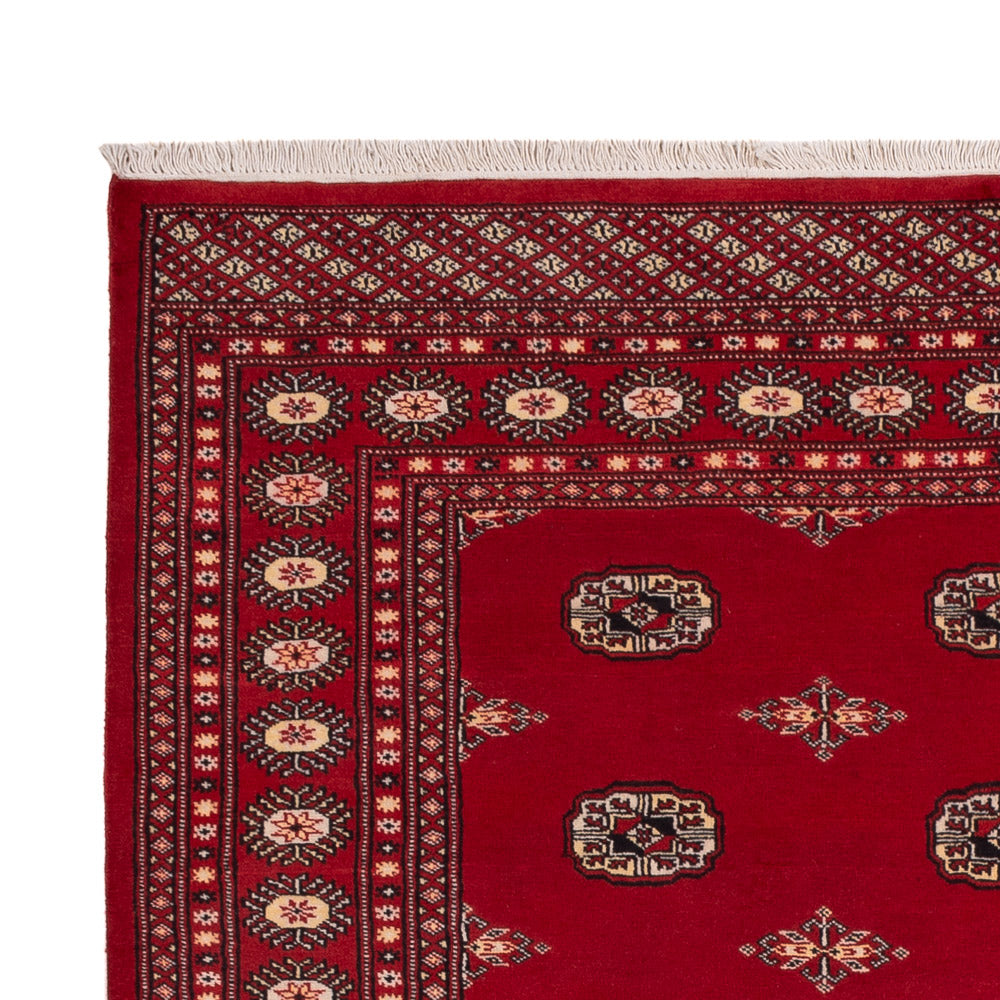Pakistan teppe 171x236cm - Orientalsk teppe