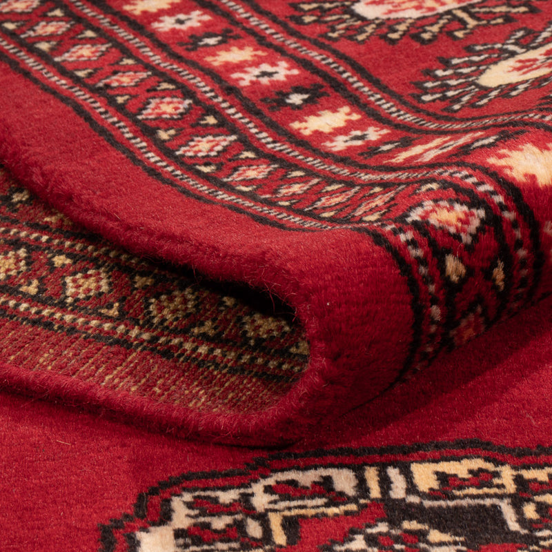 Pakistan teppe 171x236cm - Orientalsk teppe