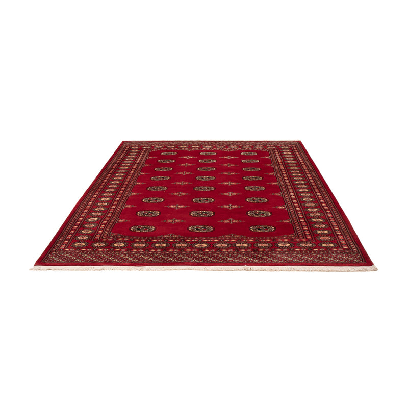 Pakistan teppe 171x236cm - Orientalsk teppe