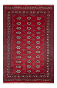 Pakistan teppe 167x249cm - Orientalsk teppe – product image