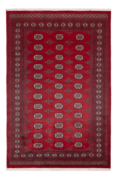 Pakistan teppe 167x249cm - Orientalsk teppe