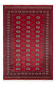 Pakistan teppe 167x249cm - Orientalsk teppe