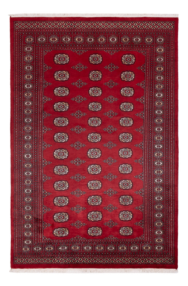 Pakistan teppe 167x249cm - Orientalsk teppe
