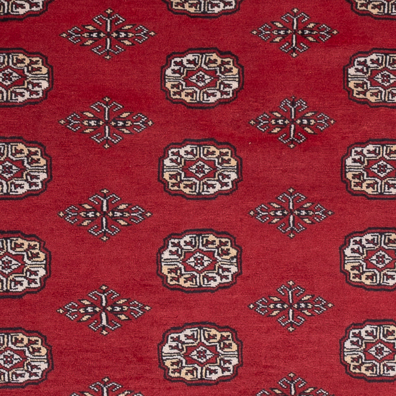 Pakistan teppe 167x249cm - Orientalsk teppe