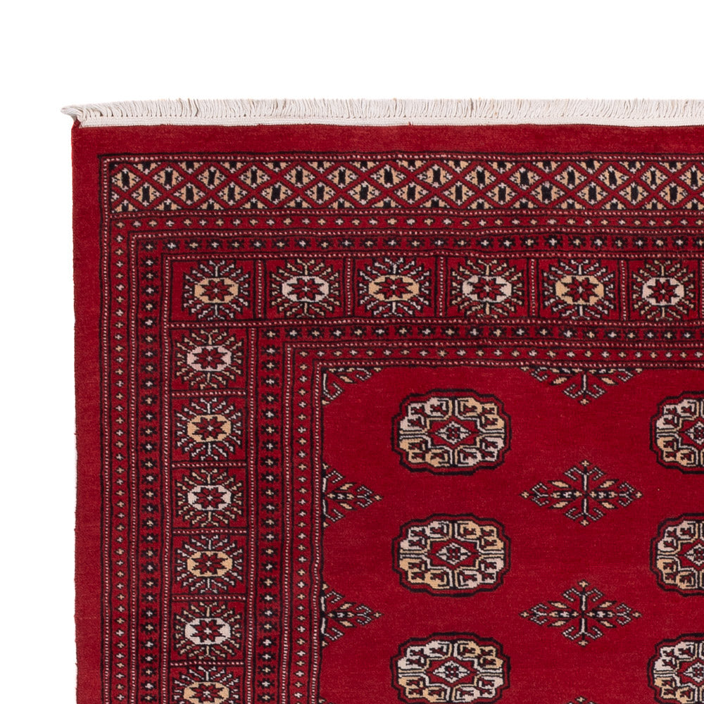 Pakistan teppe 167x249cm - Orientalsk teppe