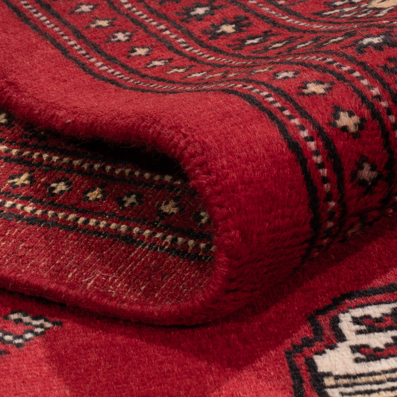 Pakistan teppe 167x249cm - Orientalsk teppe